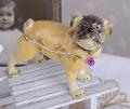 mops z dzwoneczkiem szkatułka w stylu faberge