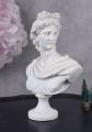 apollo belwederski eleganckie popiersie greckiego boga